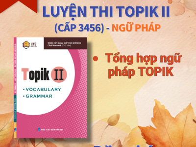 NGỮ PHÁP TOPIK II (3456)