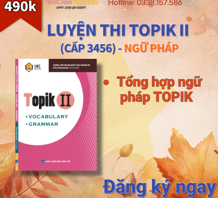 NGỮ PHÁP TOPIK II (3456)